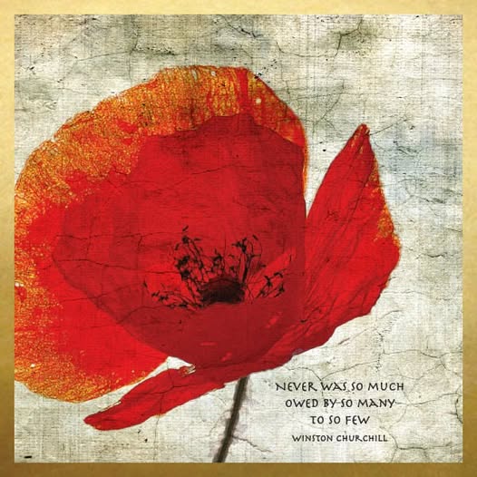 Remembrance Day